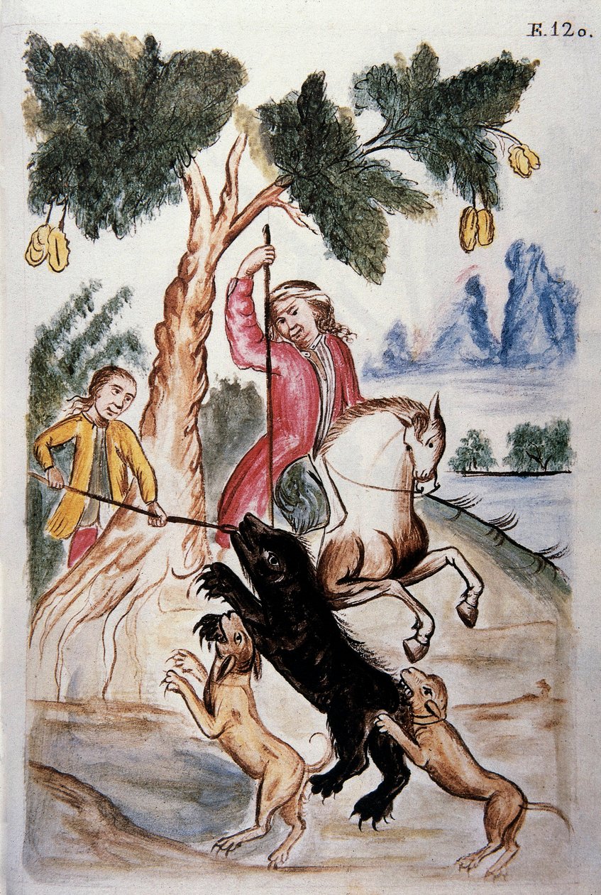 Bjørnejagt, fra bogen "Trujillo of Peru" eller "Codex Martinez Companion", af Baltazar Martinez Companion og Bujanda, biskop af Trujillo (1782-1785) af Unknown artist