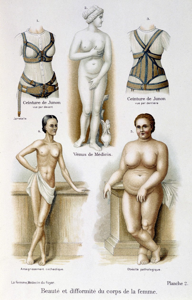 Skønhed og deformitet af kvindens krop (mager og fedme); Junos bælter - i "Kvinden, hjemmelæge"" af Unknown artist