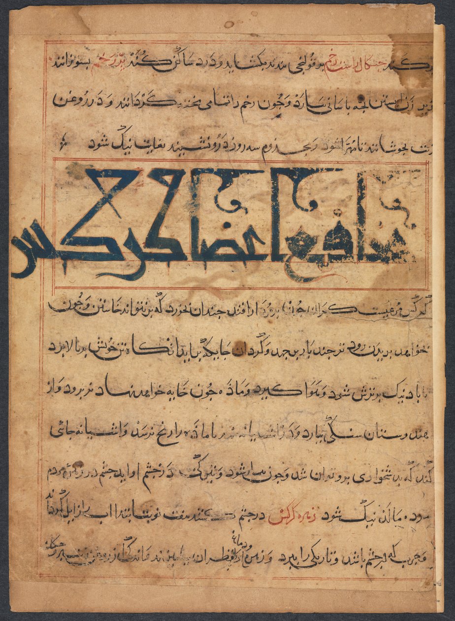 "Fordelene ved gribbes dele" (Fra Manafi