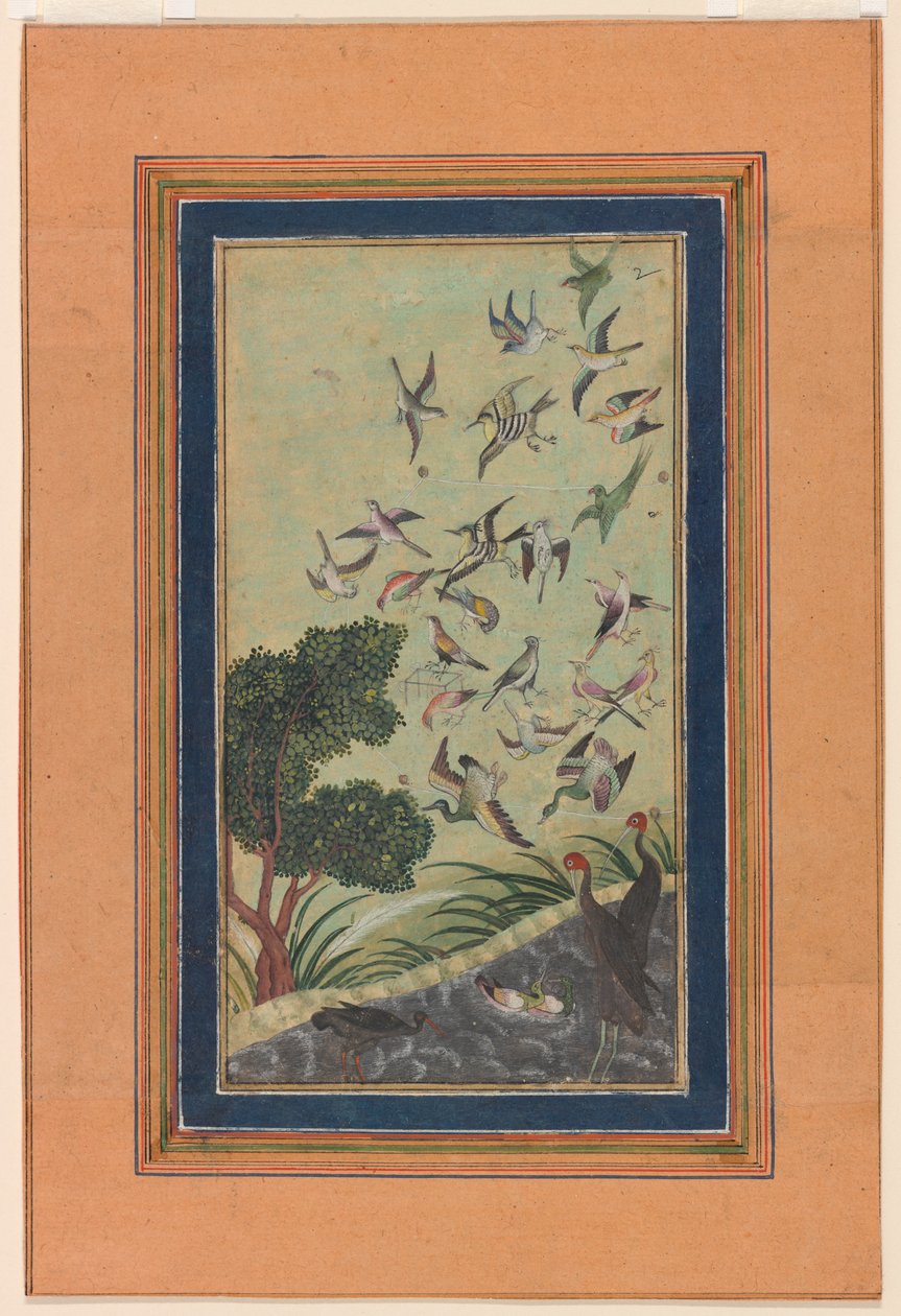 Fugle ved Baran, muligvis fra Babur-nama af Unknown artist