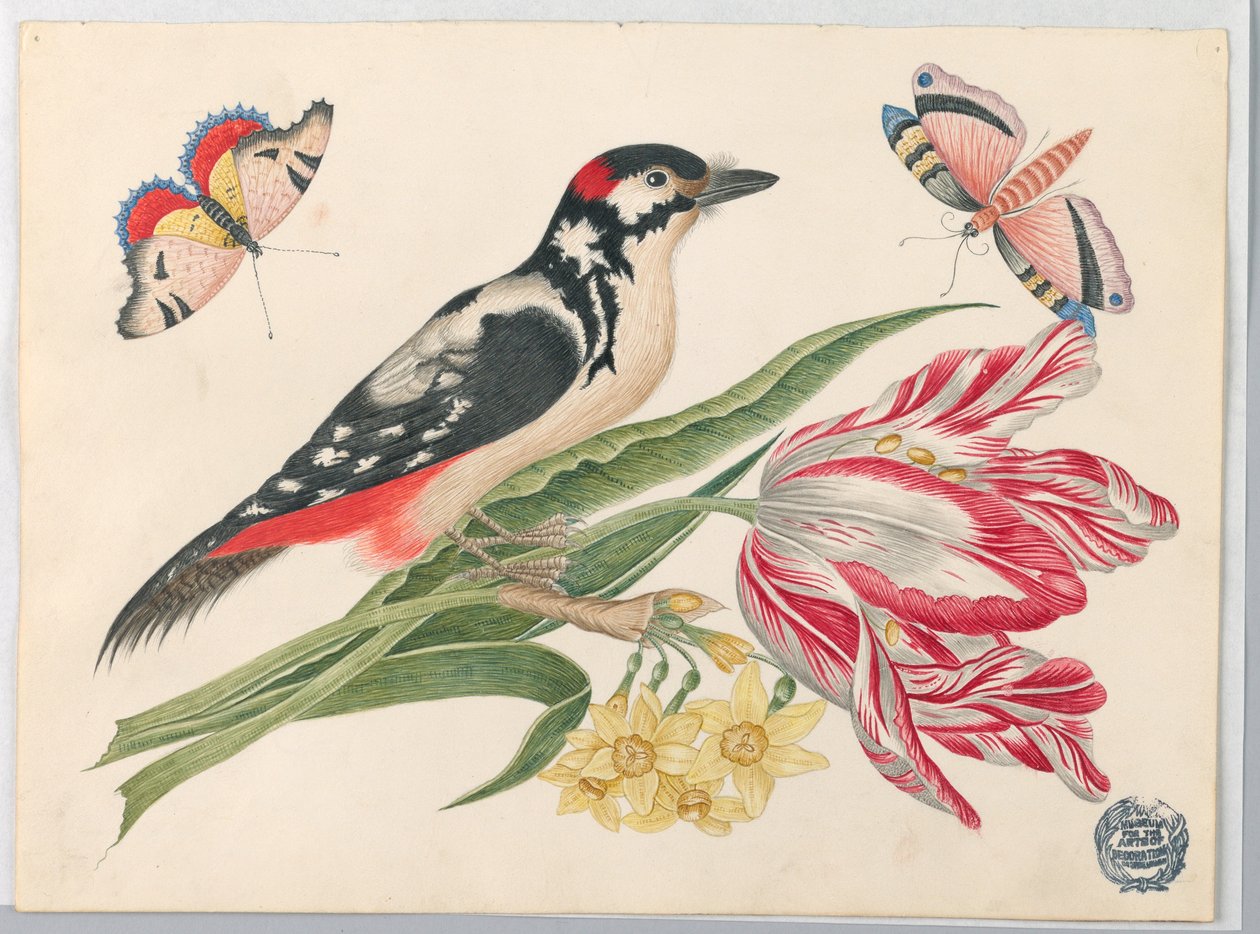 Sort-hvid broget fugl på tulipanstilk, med påskeliljer og sommerfugle af Unknown artist