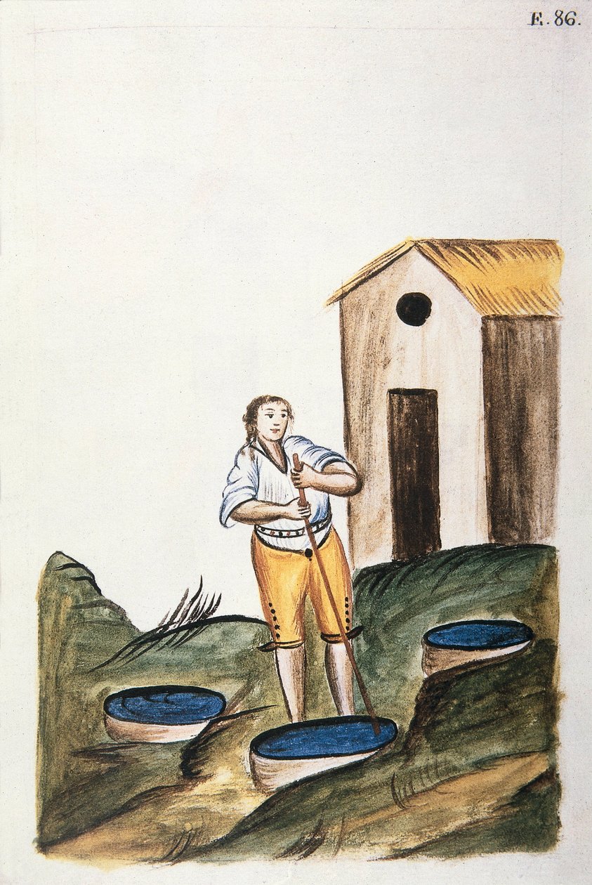 Blå farvebakke, der bruges til at farve uld, fra bogen "Trujillo of Peru" eller "Codex Martinez Companion", af Baltazar Martinez Companion og Bujanda, biskop af Trujillo (1782-1785) af Unknown artist