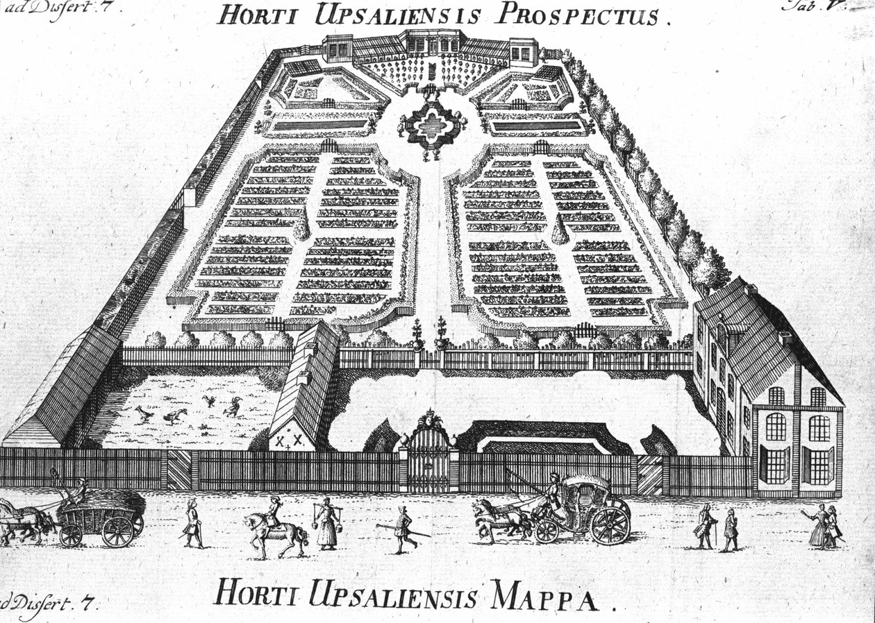 Botanisk Have - HORTI UPSALIENSIS prospektiv og plan. af Unknown artist