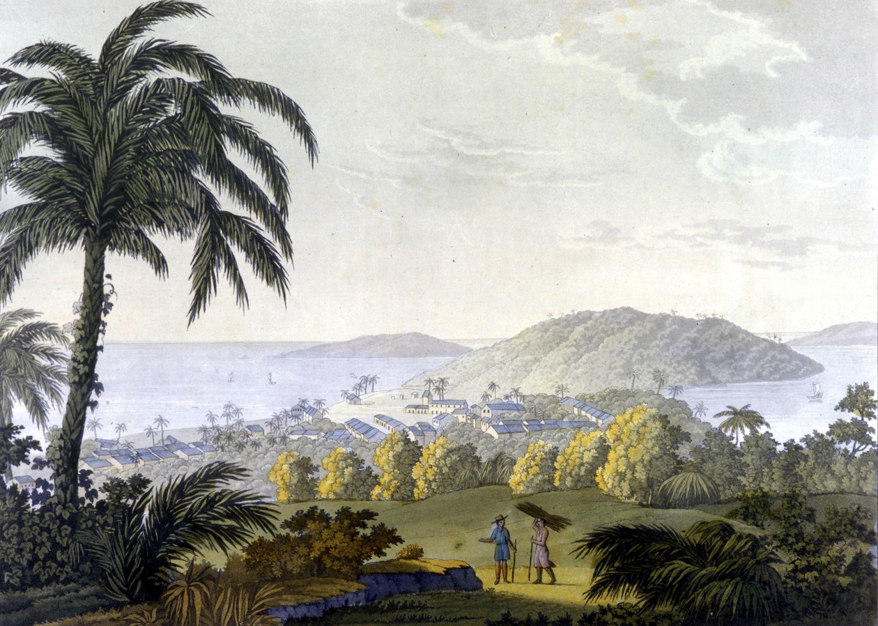 Brasilien, udsigt over Ilheus by i staten Bahia af Unknown artist