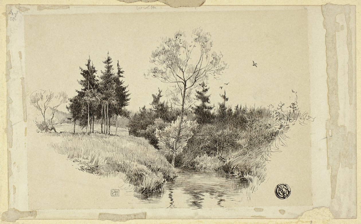 Bæk i Skov af Unknown artist