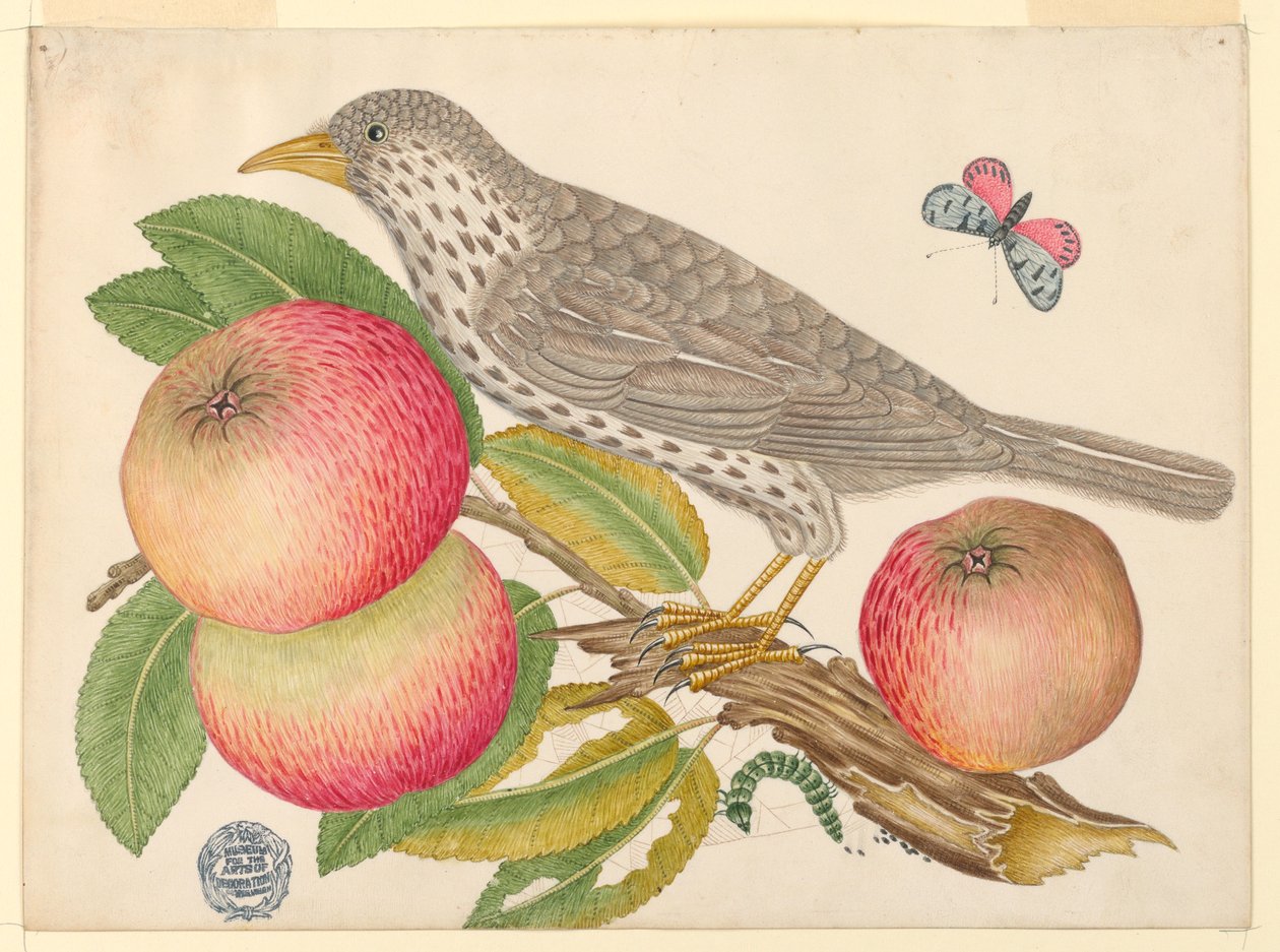 Brun fugl på æblegren, med larve af Unknown artist