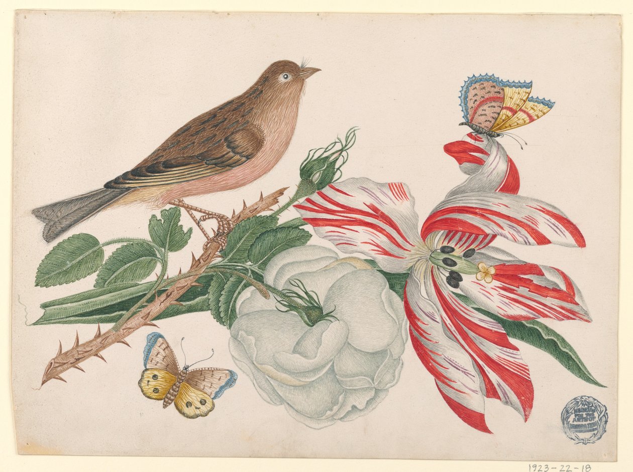 Brun fugl på gren med rose, tulipan og insekter af Unknown artist