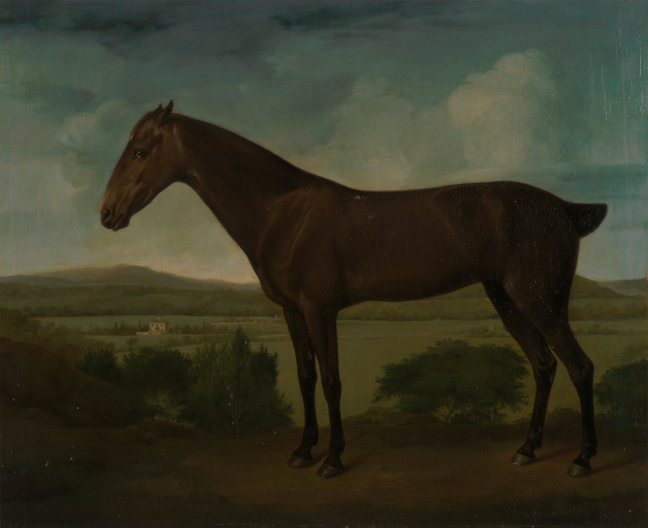 Brun hest i et kuperet landskab af Unknown artist