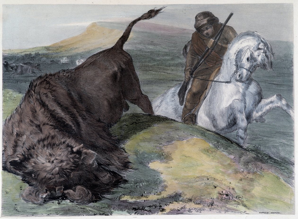 Canadiske Huron Buffalo Hunt - i "" Shyths sketches in the Canadas"" af Coke Smyth, London af Unknown artist