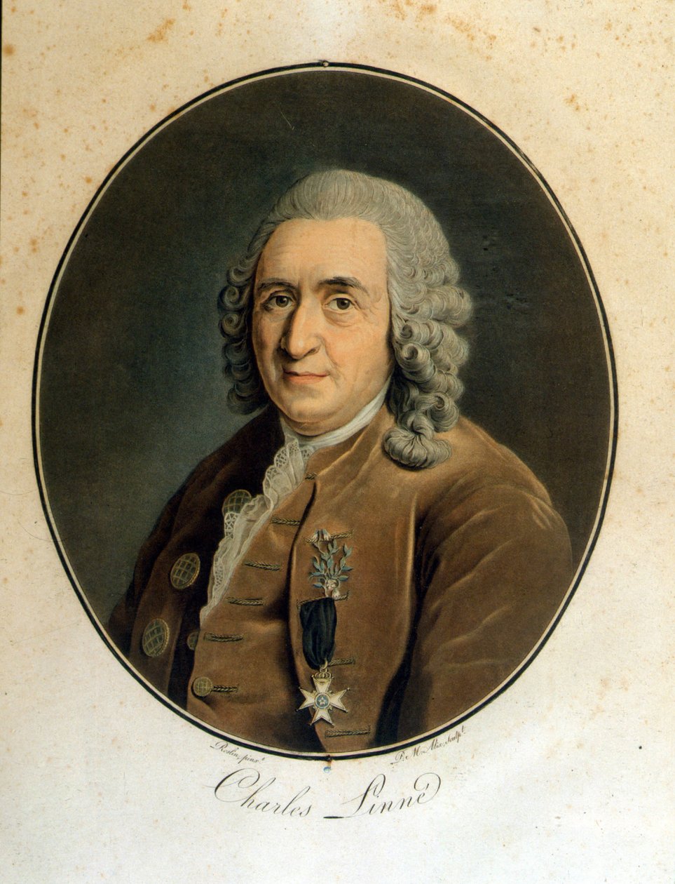 Carl Von Linné svensk naturforsker og forfatter (1707 - 1778) af Unknown artist