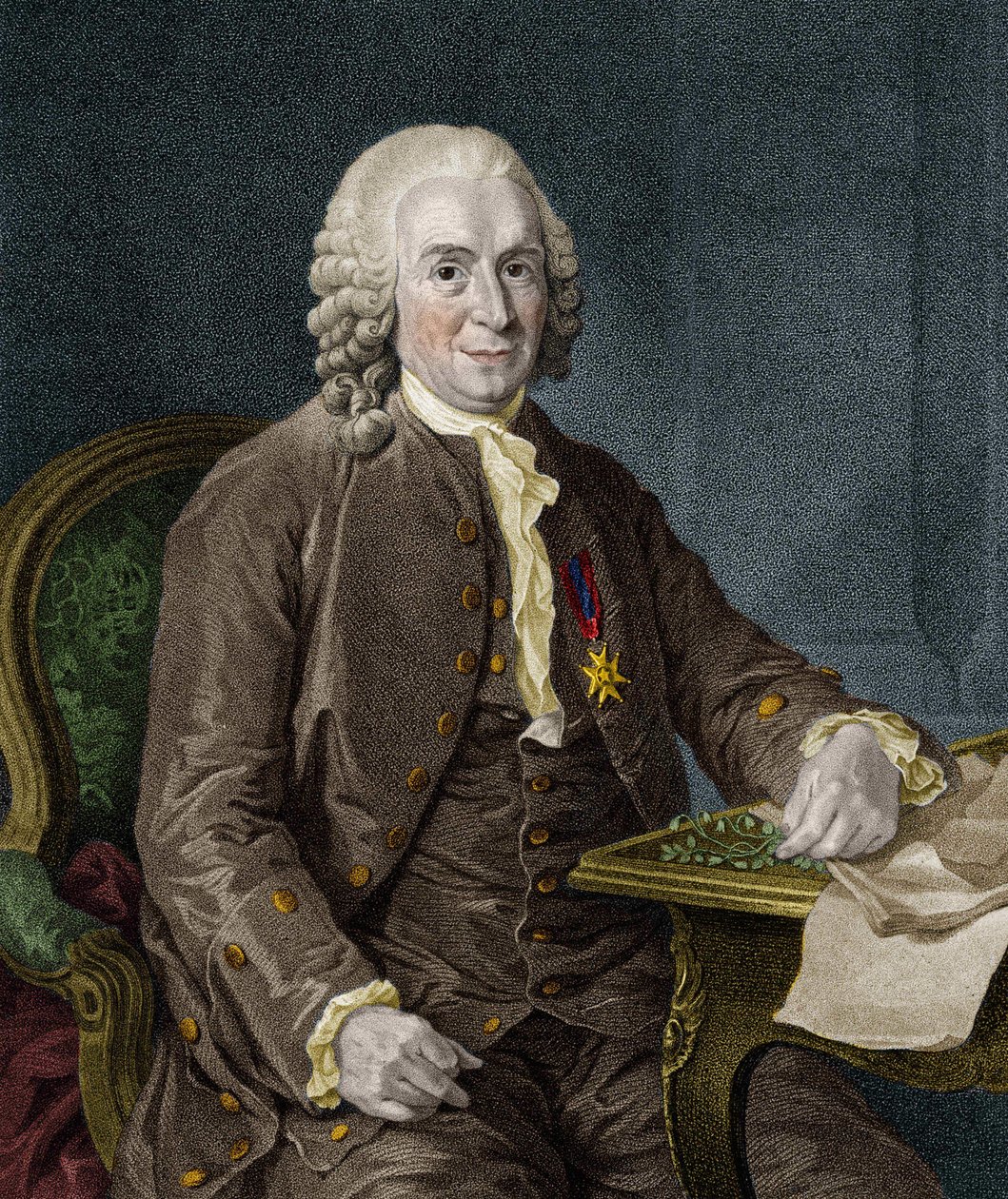Carl Von Linné svensk naturforsker og forfatter (1707 - 1778). af Unknown artist