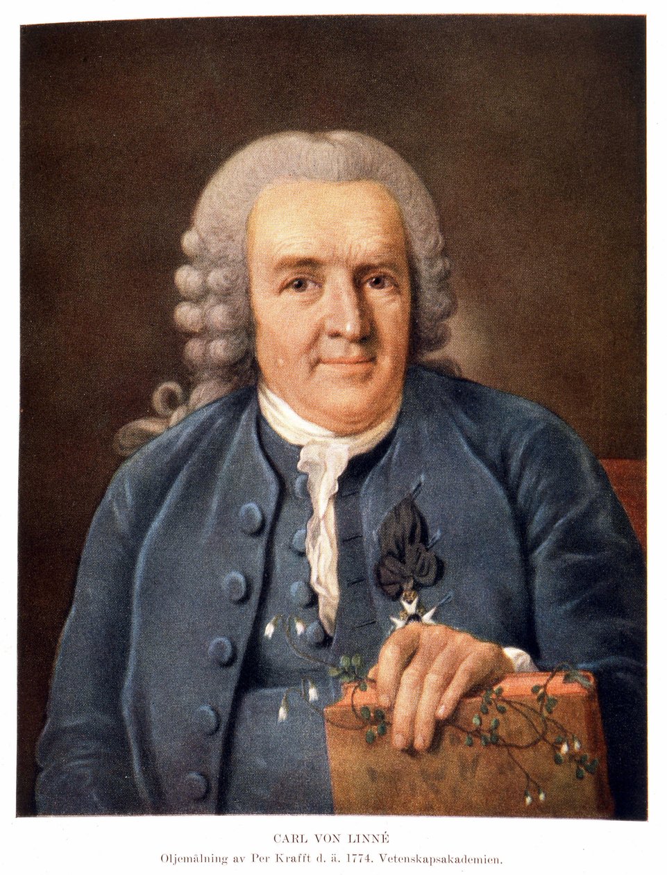 Carl Von Linné svensk naturforsker og forfatter af Unknown artist
