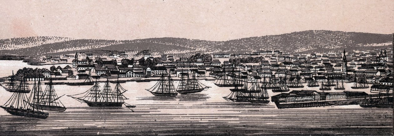 Christiania, Danmark: udsigt over byen (General View). i "" Verden illustrerer 168 visninger"" Udateret (slutningen af 1800-tallet) af Unknown artist