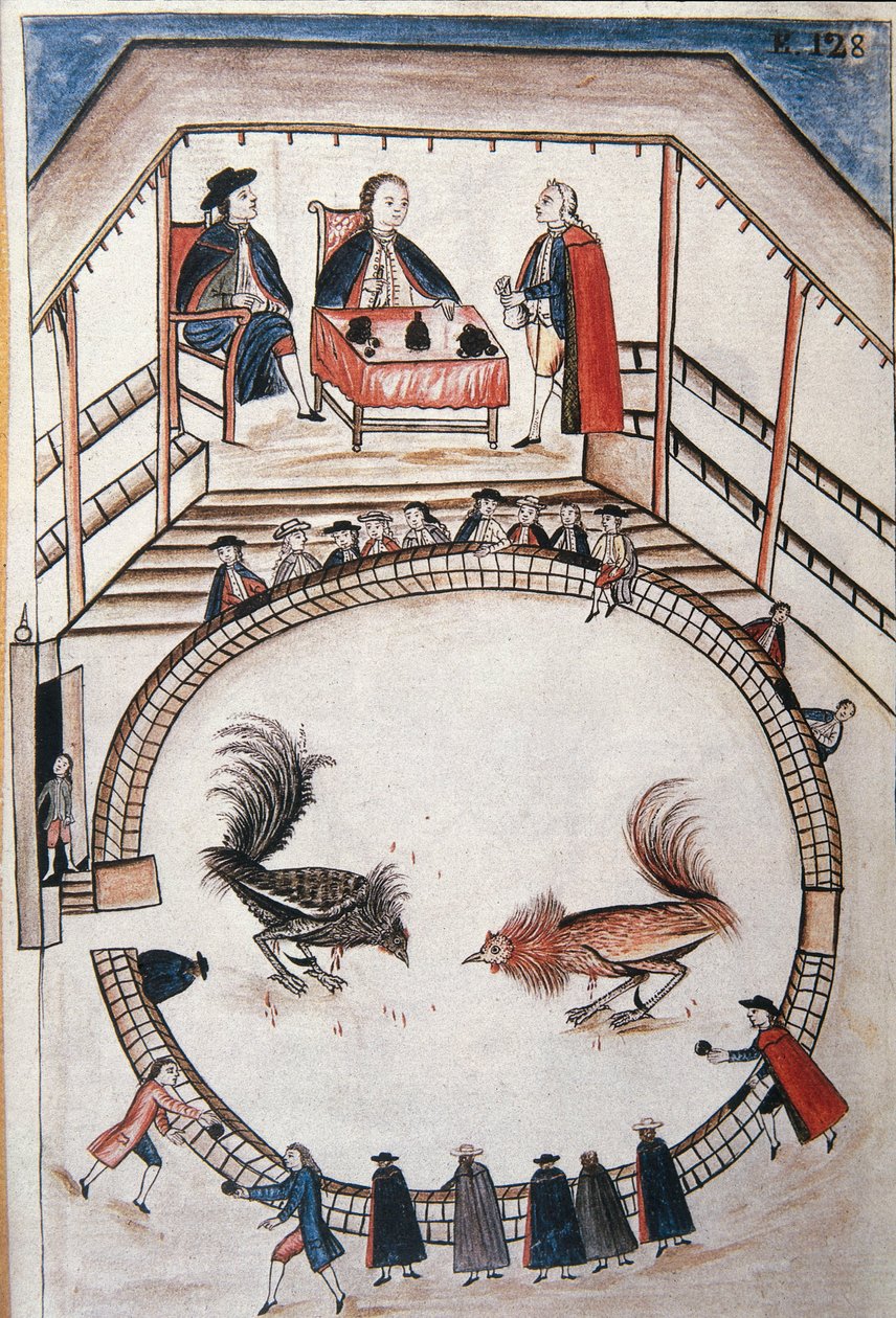 Hanekamp, ​​en adelig deltager i duellen, fra bogen "Trujillo del Peru" eller "Códice Martínez Compañón", af Baltazar Martinez Compañón y Bujanda, biskop af Trujillo (1782-1785) af Unknown artist