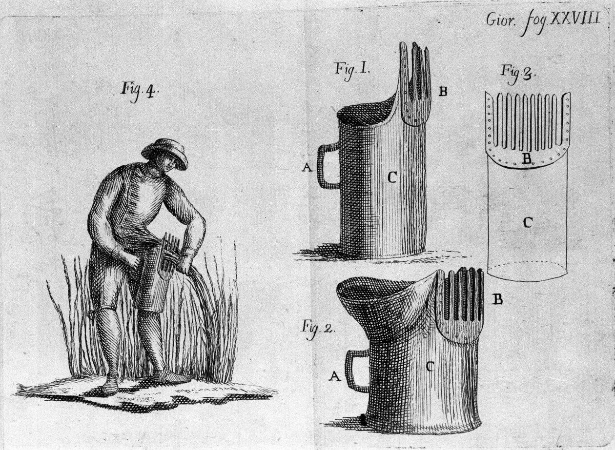 Kam havre. 1800 af Unknown artist