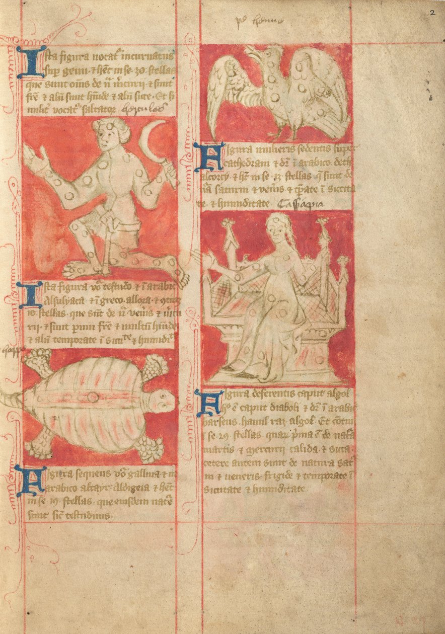 Konstellation af Unknown artist