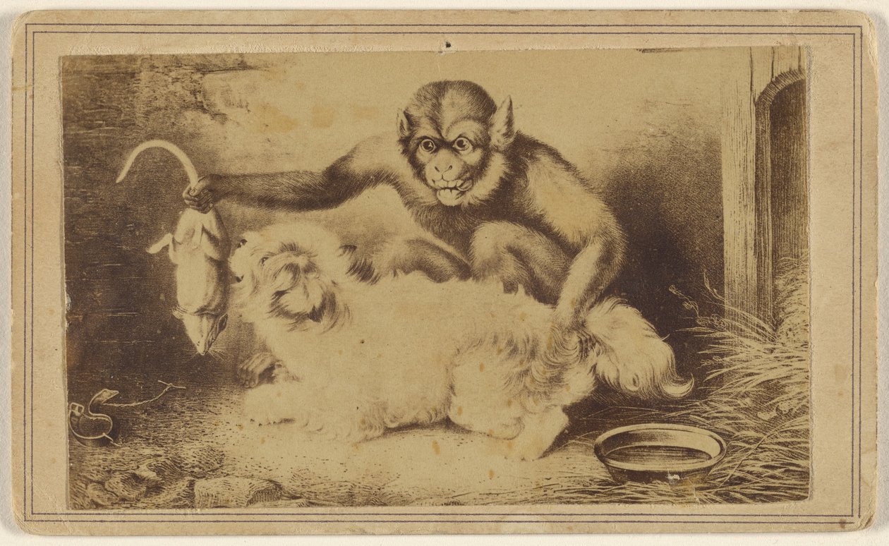 [Kopi af et maleri, der forestiller en abe, som holder en rotte i halen foran en lille hvid hund]. af Unknown artist
