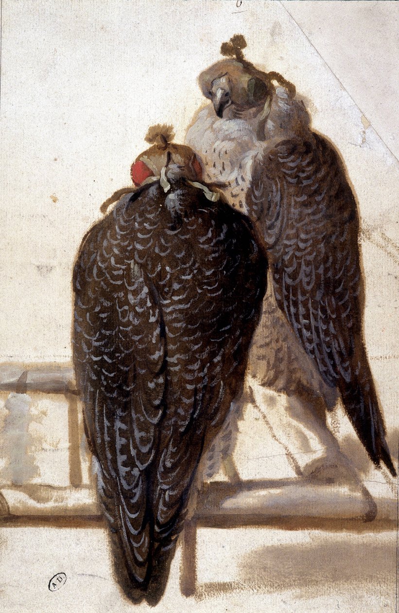 Et par høge. 1700-tals tegning. af Unknown artist
