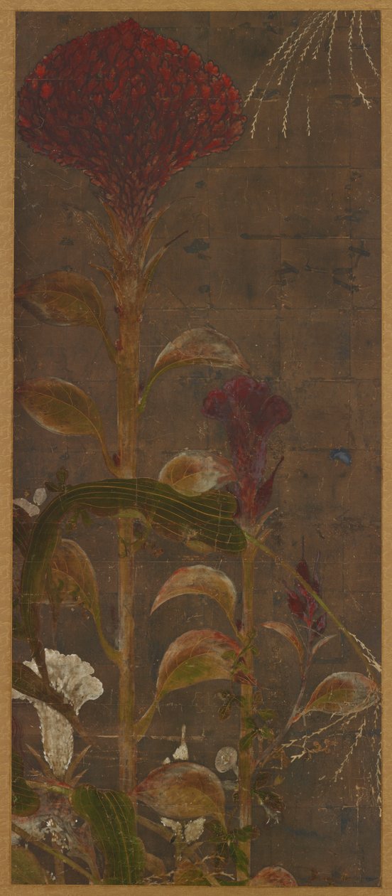 Coxcombs, majs og morgenfruer af Unknown artist