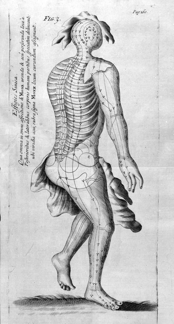 De Acupunctura af W.Ten Rhijn. London 1683. Første vestlige tekst, der omhandler akupunktur. af Unknown artist