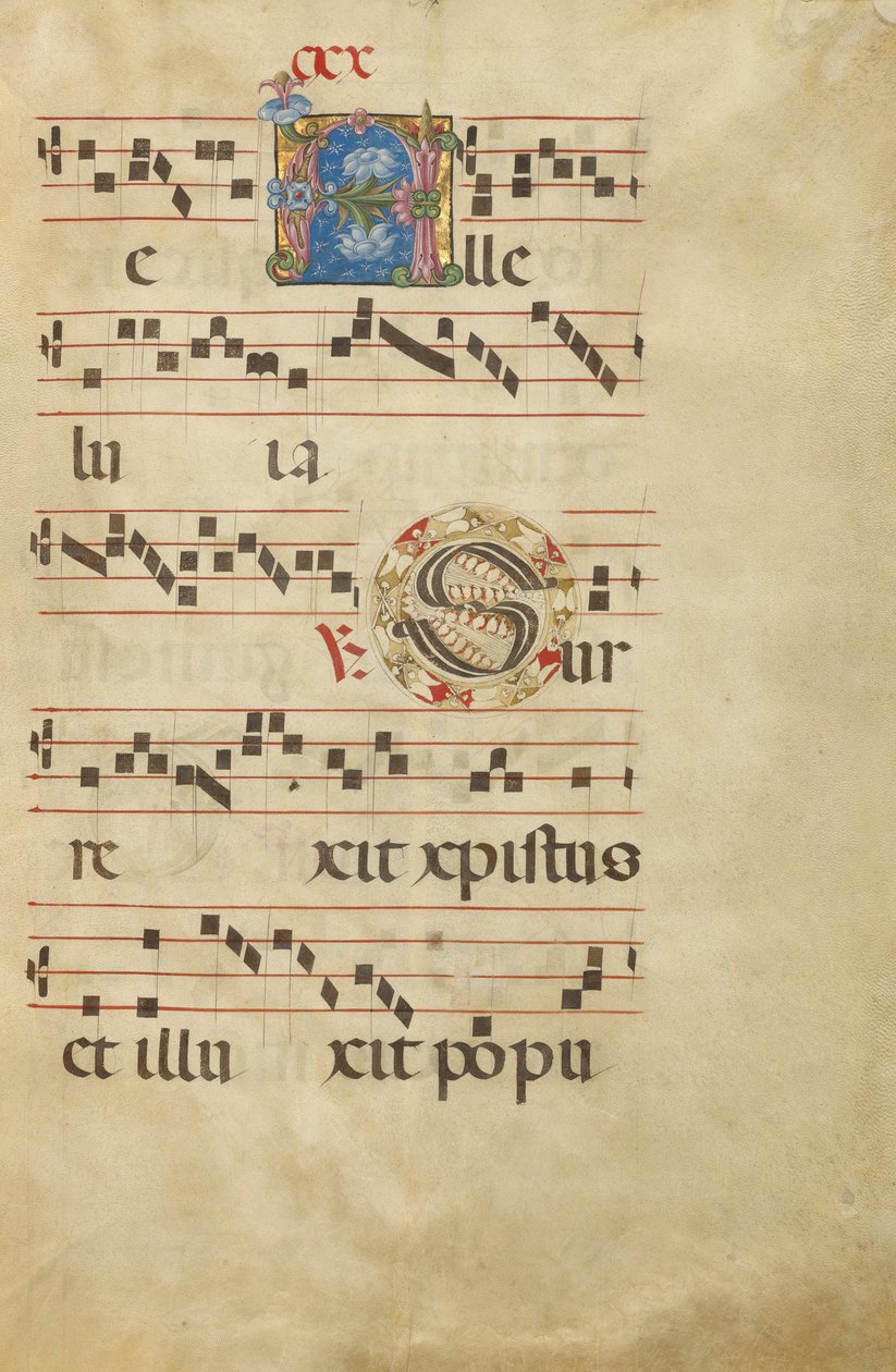 Dekoreret initial A; Dekoreret initial S af Unknown artist