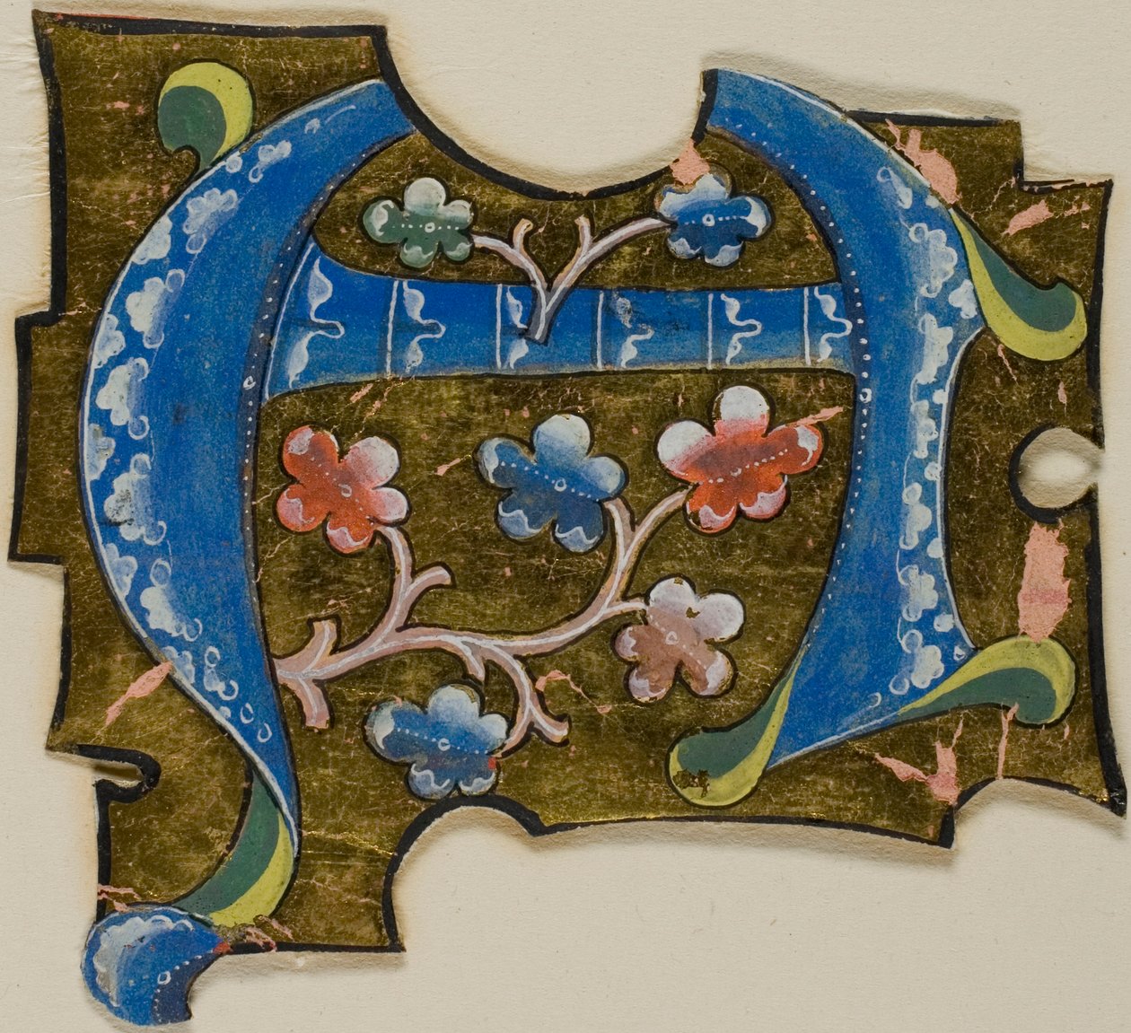 Dekoreret initial "A" i blåt med blade fra et manuskript af Unknown artist