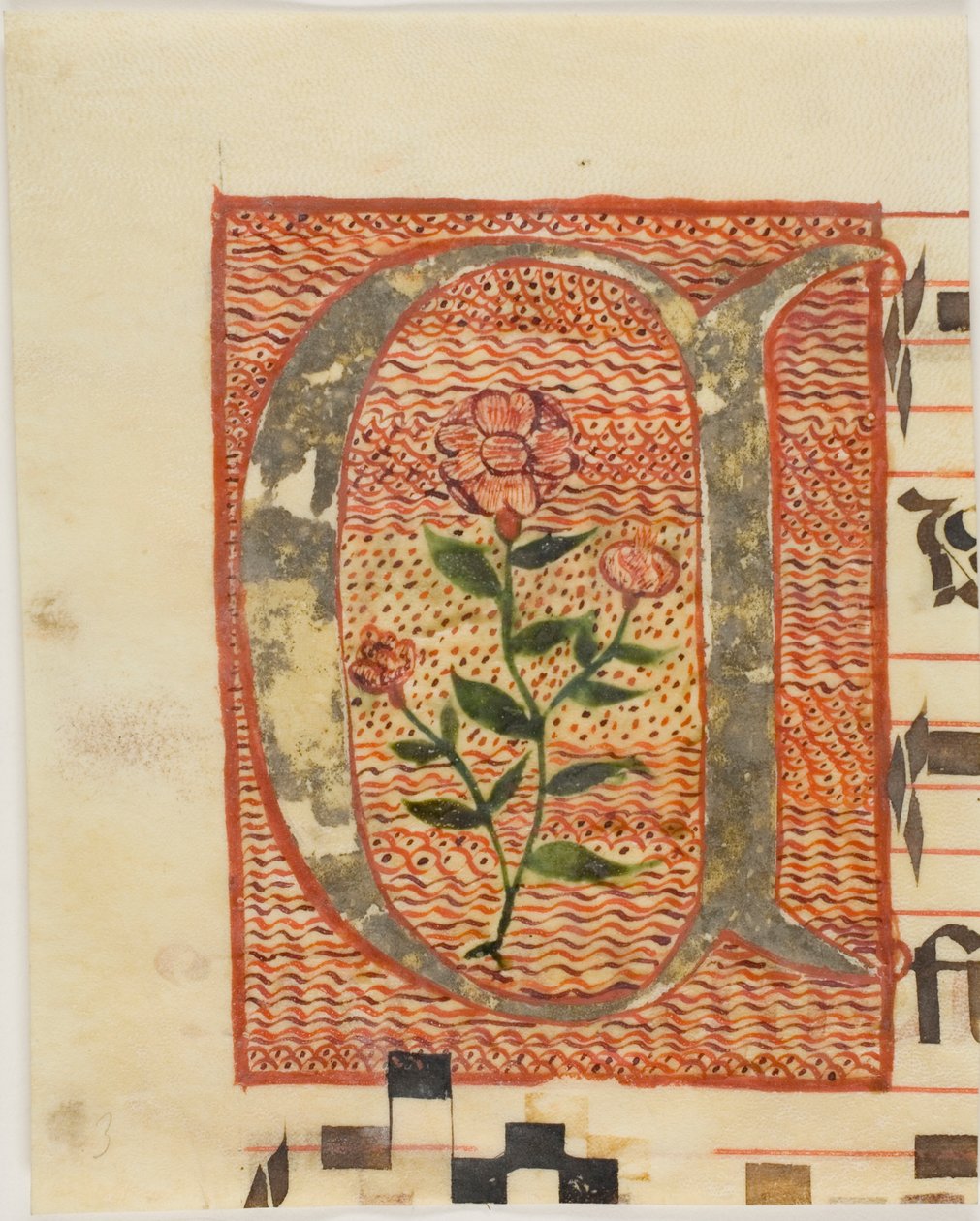 Dekoreret initial "A" med blomst fra et manuskript af Unknown artist