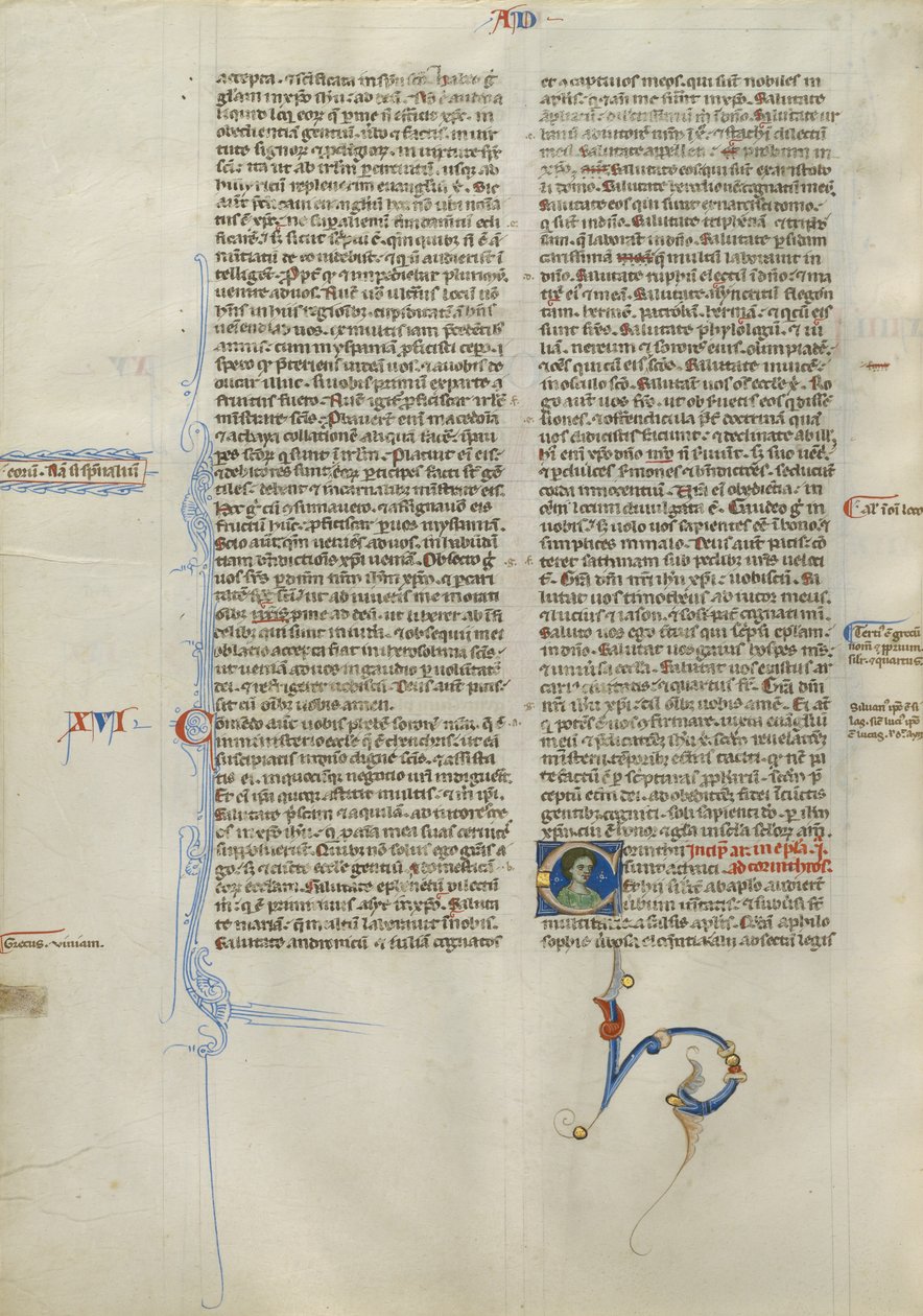 Dekoreret initial C af Unknown artist