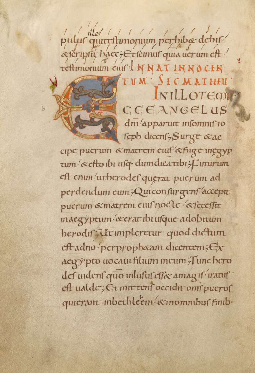 Dekoreret initial E af Unknown artist