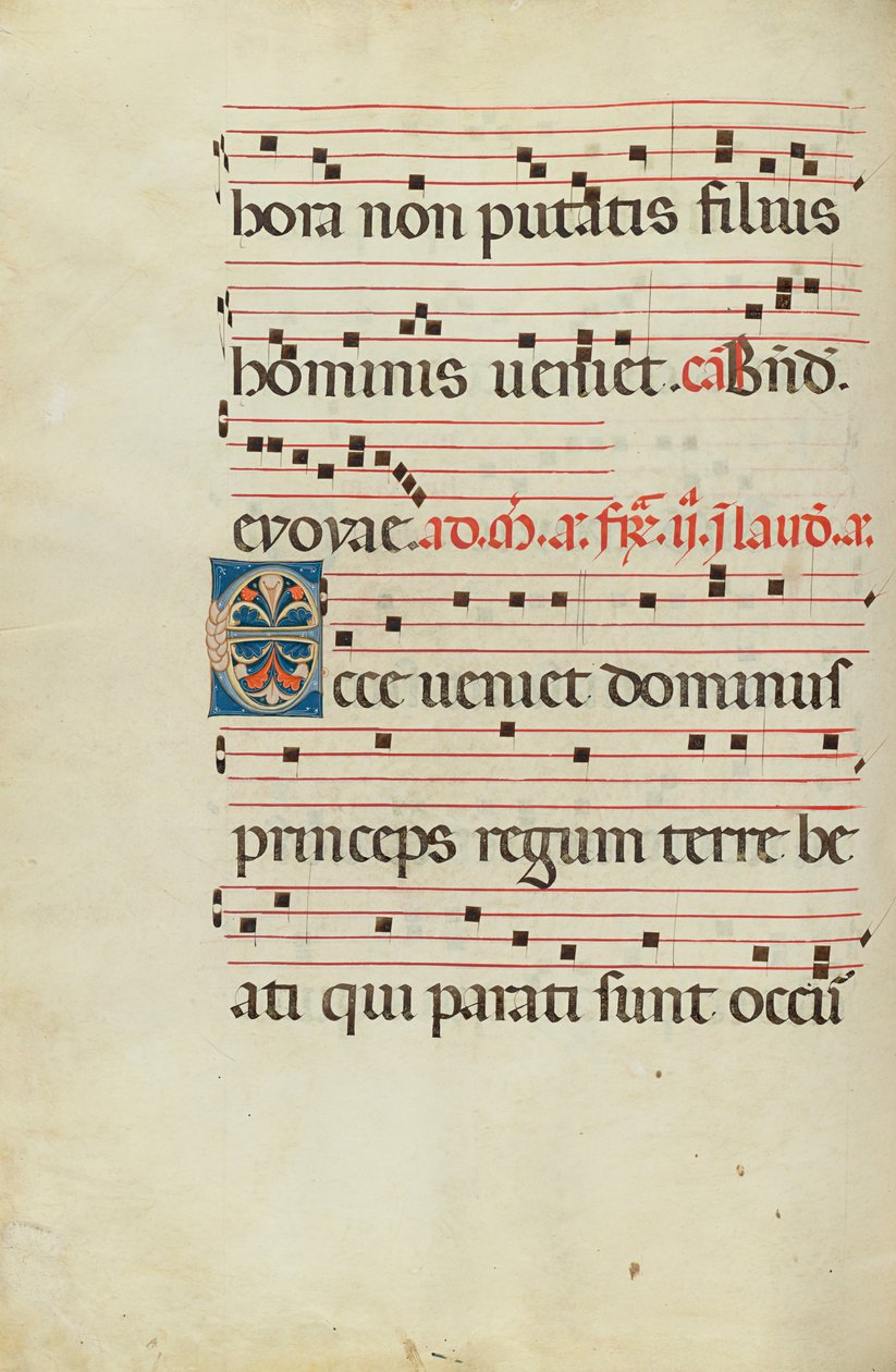 Dekoreret initial E af Unknown artist