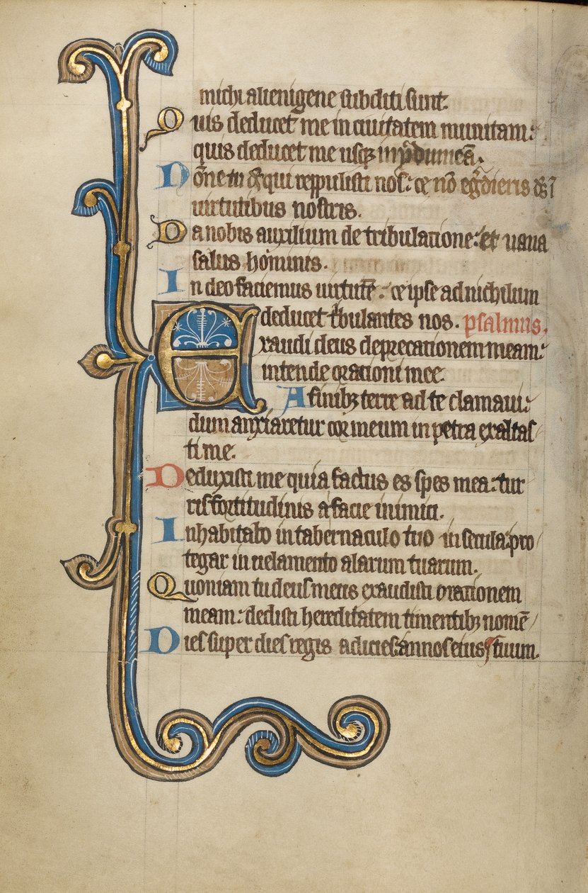 Dekoreret initial E af Unknown artist