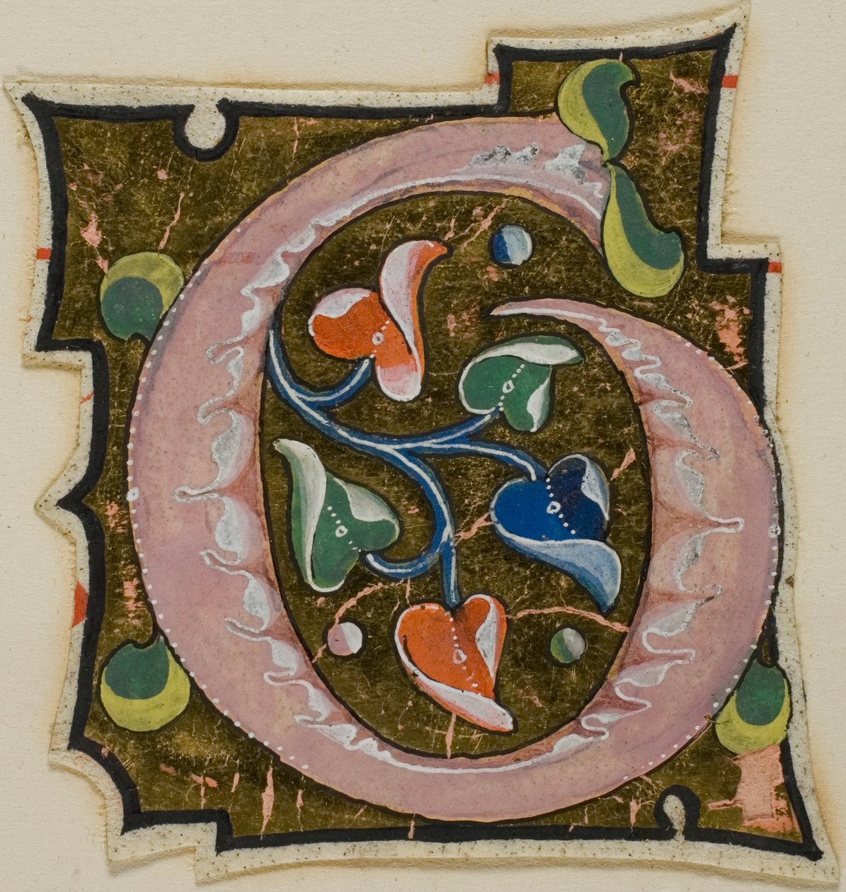 Dekoreret initial "G" i pink med krøllede blade fra et manuskript af Unknown artist