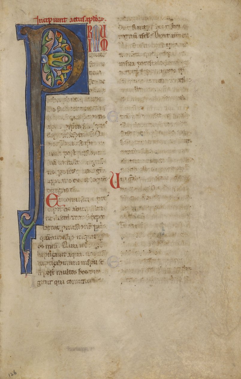 Dekoreret initial P af Unknown artist