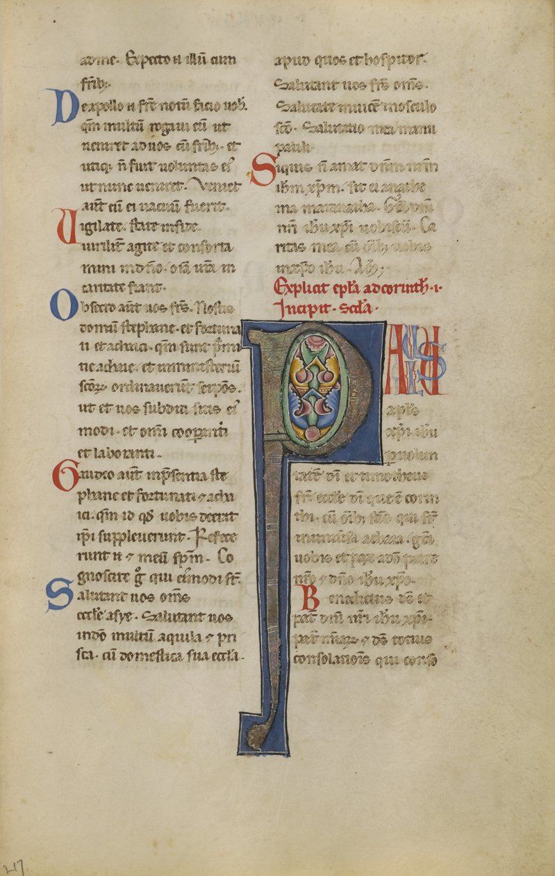 Dekoreret initial P af Unknown artist