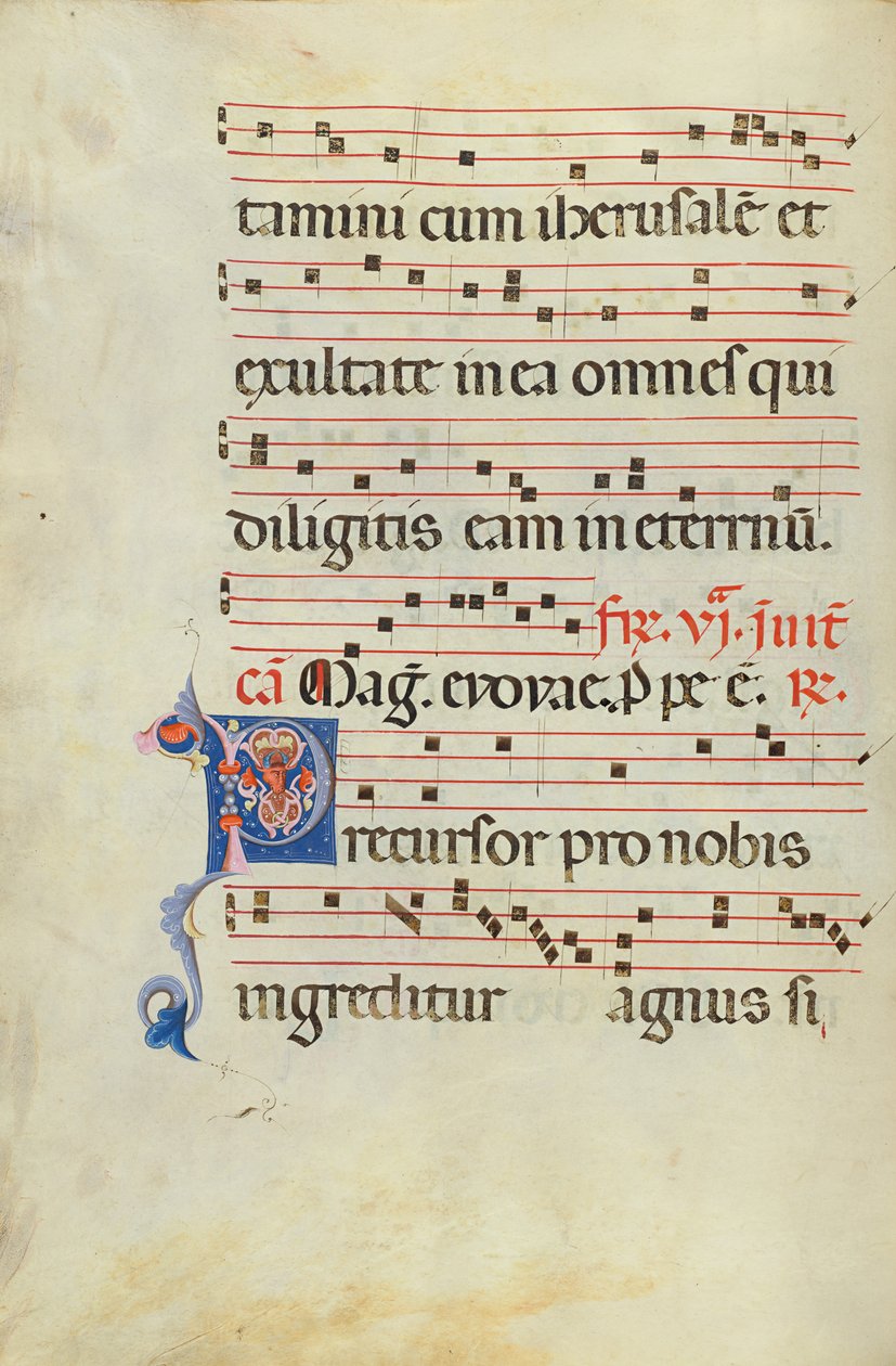 Dekoreret initial P af Unknown artist