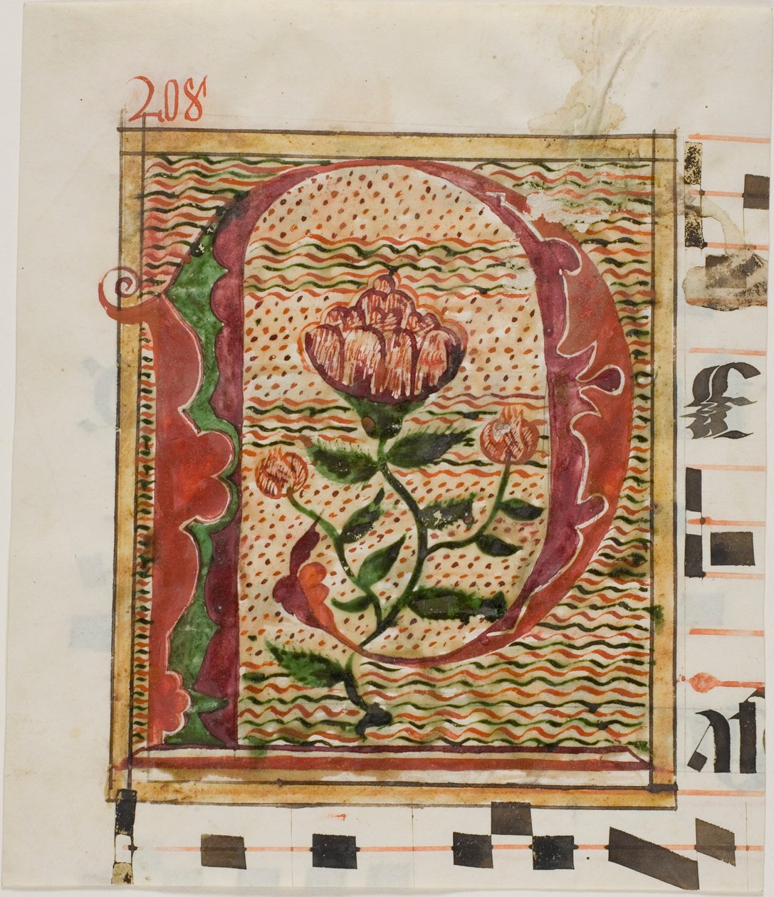 Dekoreret initial "P" med blomster fra et manuskript af Unknown artist