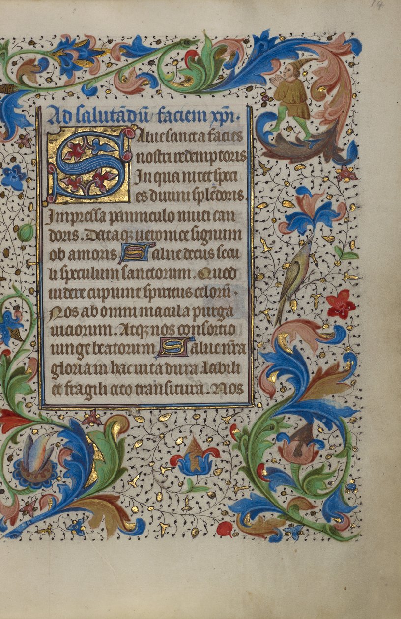 Dekoreret initial S af Unknown artist