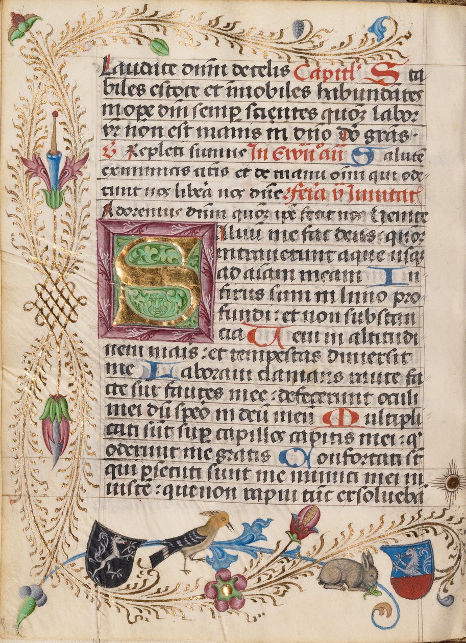Dekoreret initial S af Unknown artist