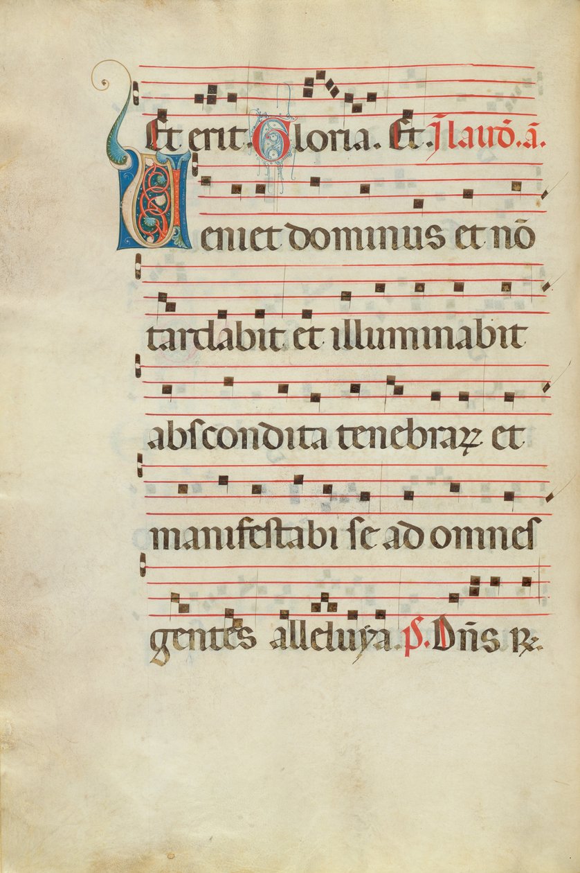 Dekoreret initial V af Unknown artist