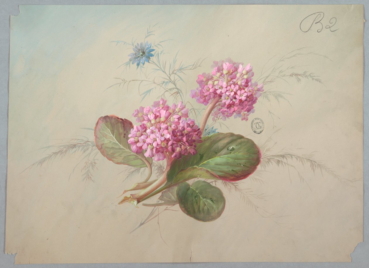 Design til tapet og tekstil: Blomster af Unknown artist
