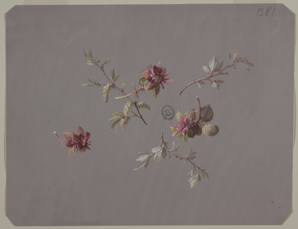 Design til tapet og tekstiler: Blomster af Unknown artist