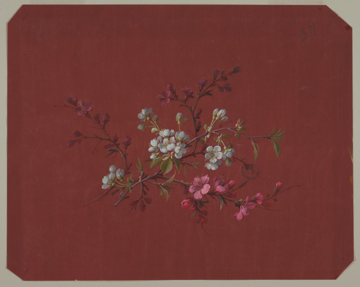 Design til tapet og tekstiler: Blomster af Unknown artist