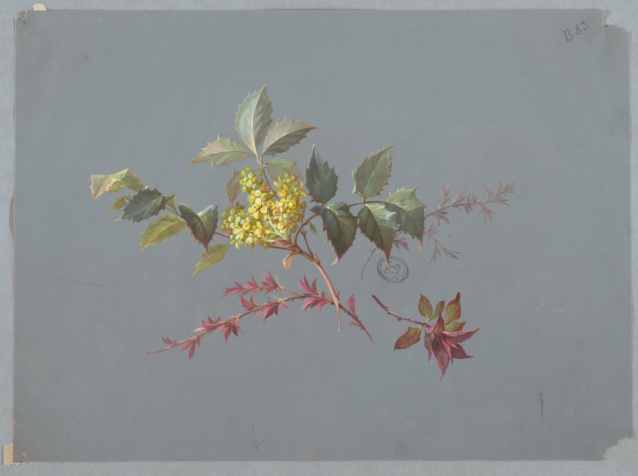 Design til tapet og tekstiler: Blomster af Unknown artist