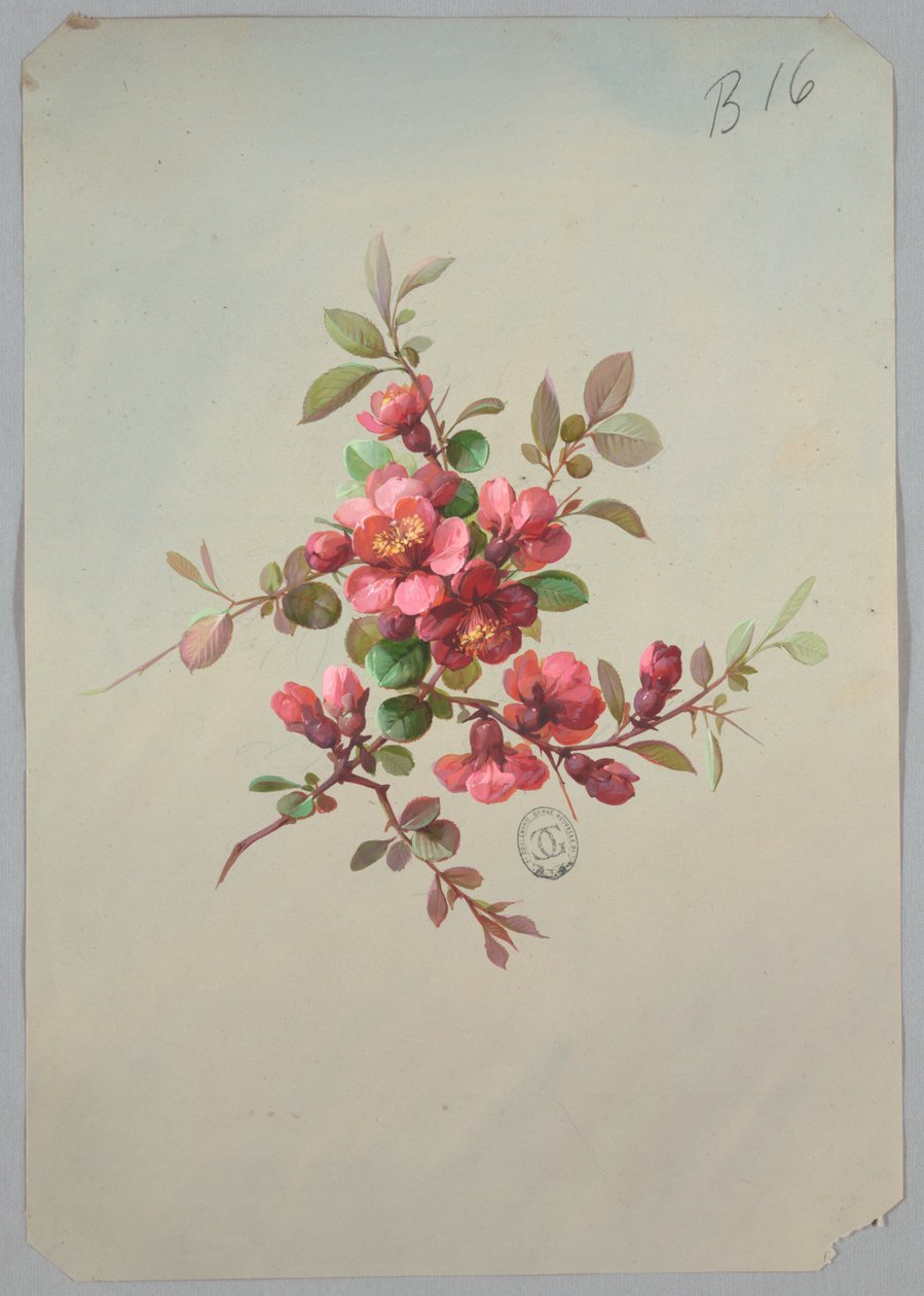 Design til tapet og tekstiler: Blomster af Unknown artist