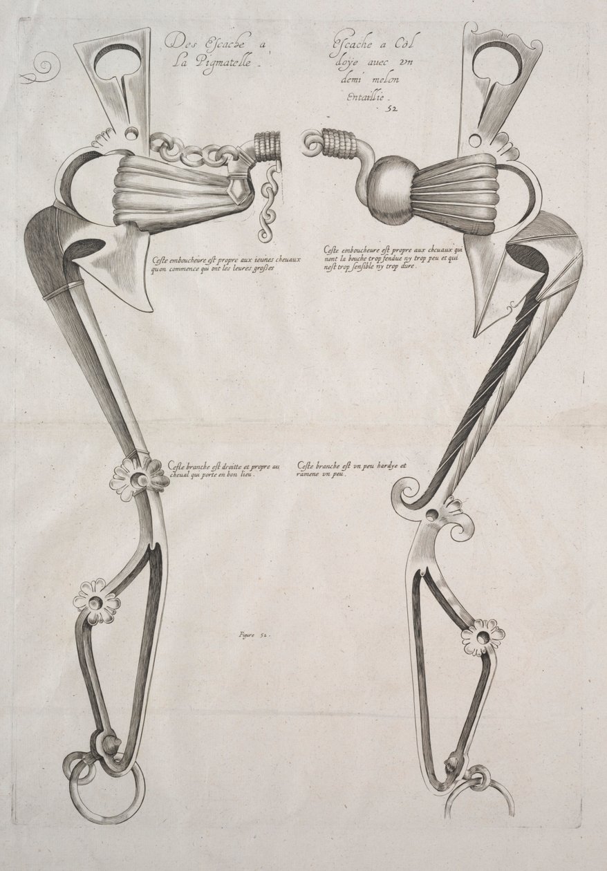 Diagram til hestebid af Unknown artist