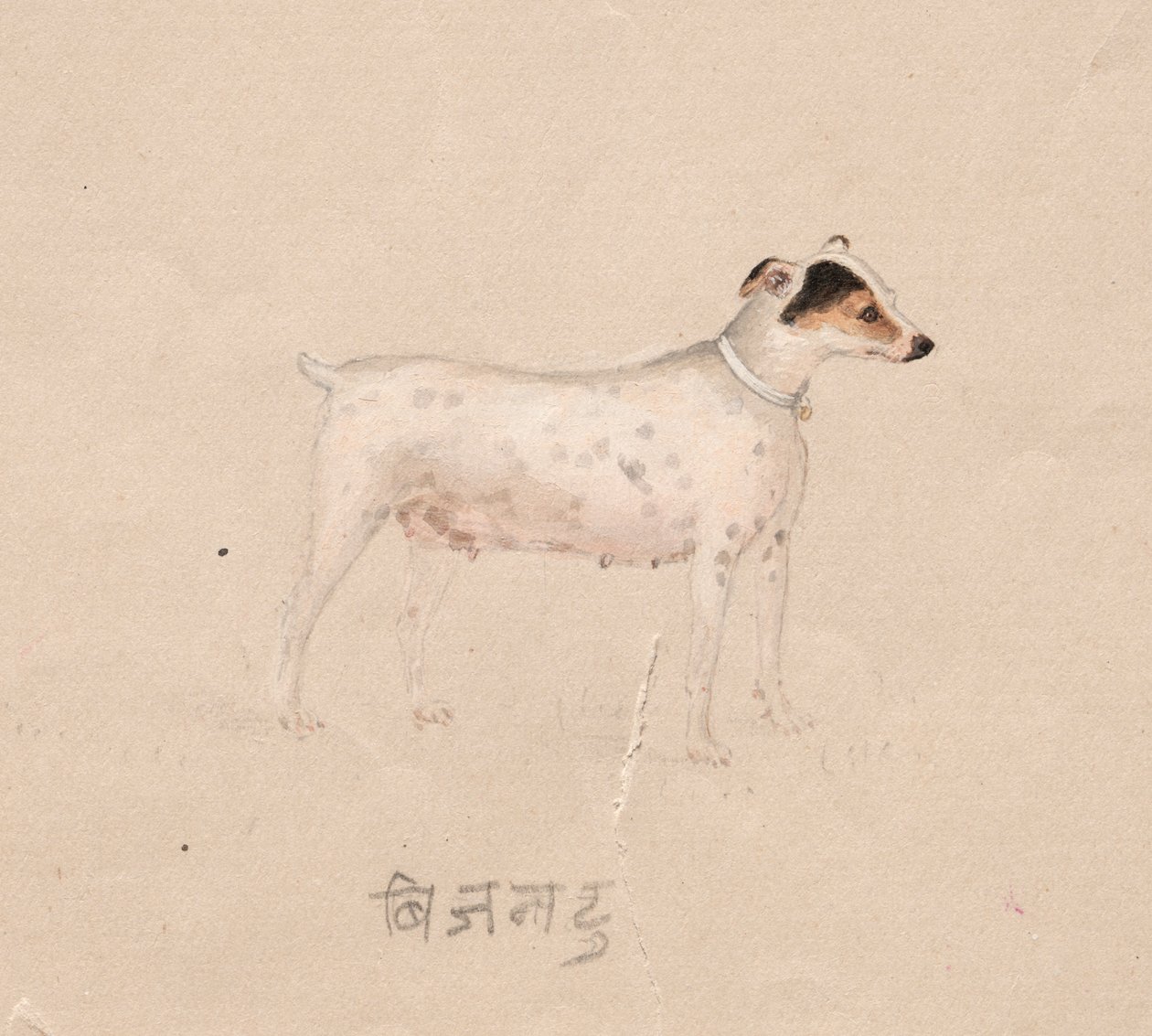 Hund af Unknown artist
