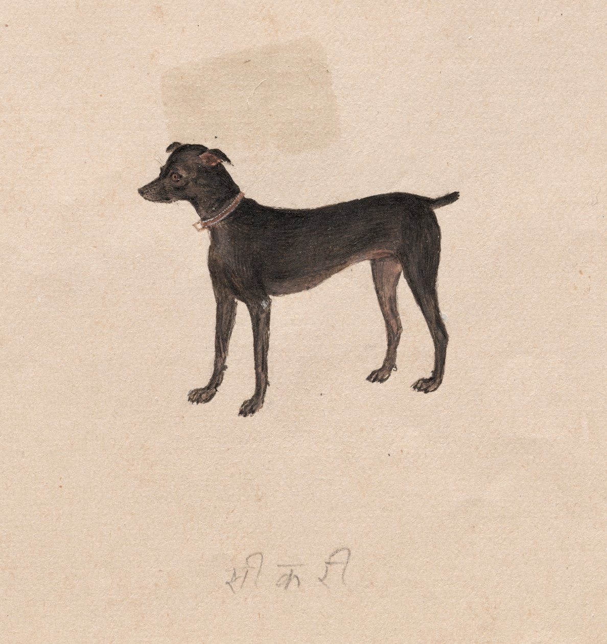Hund af Unknown artist