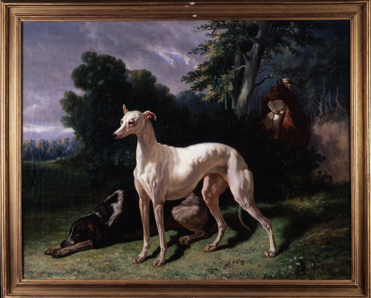 Hunde (Levary) - Maleri, Olie på lærred af Unknown artist