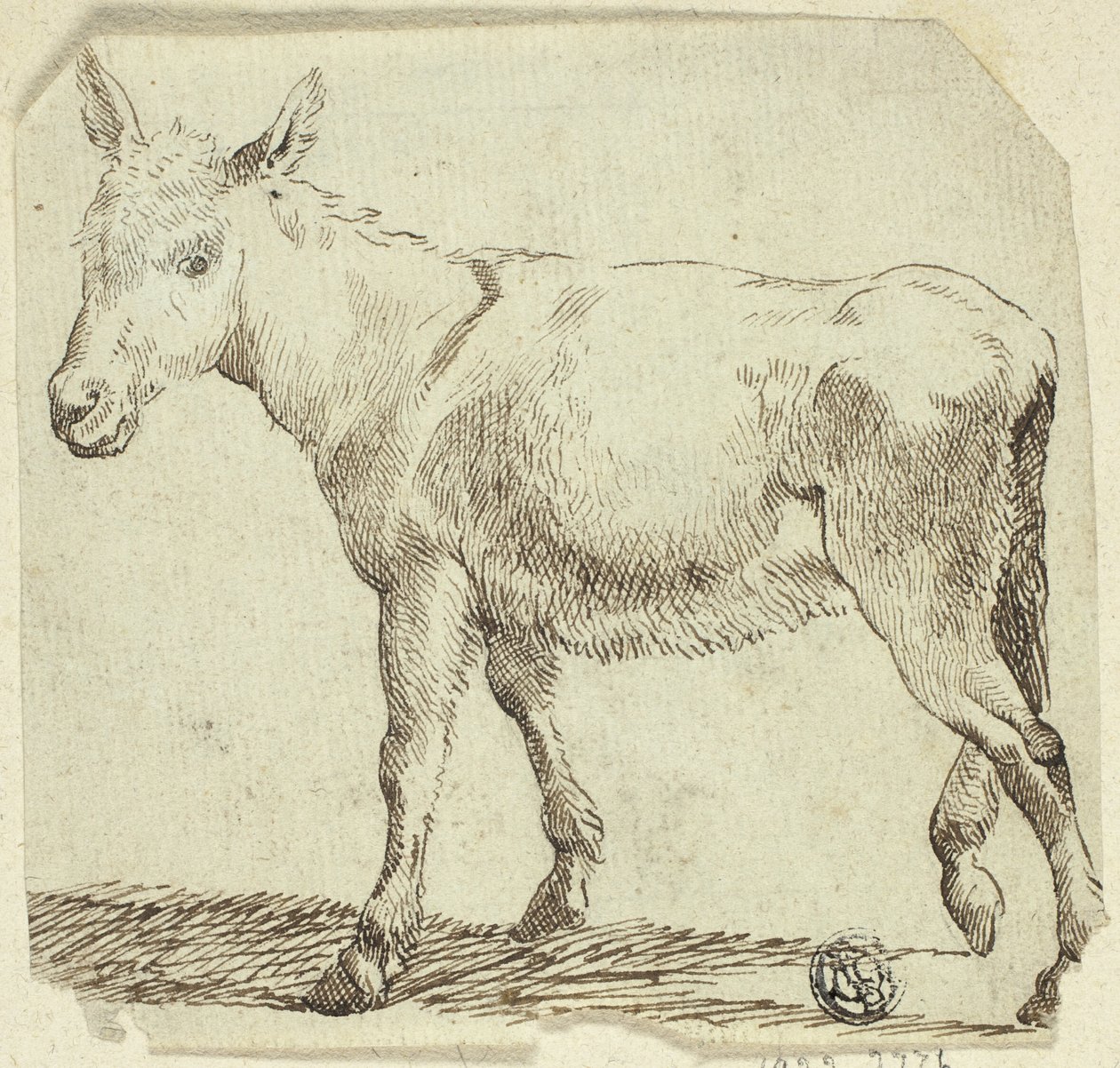 Æsel af Unknown artist