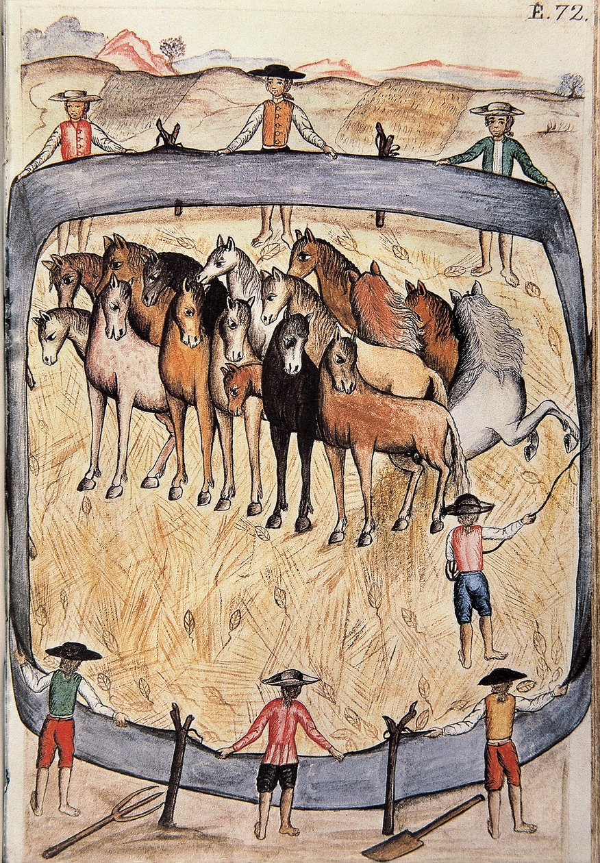 Dressur af vilde heste, fra bogen "Trujillo del Peru" eller "Codex Martinez Companion", af Baltazar Martinez Companion og Bujanda, biskop af Trujillo (1782-1785) af Unknown artist